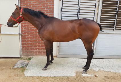 �强��� ����