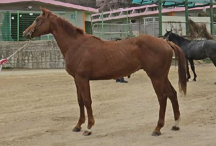 �������� ����