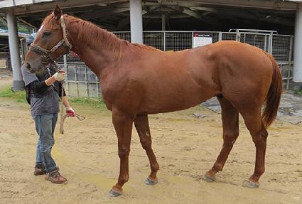 �ݼ�ũ��� ����