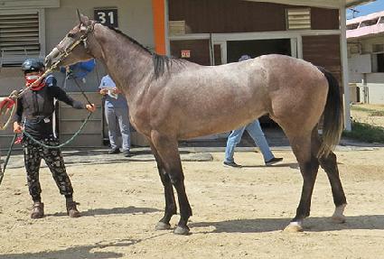 Ŭ��������Ʈ ����