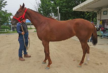 ������ ����