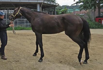 �ð��� ����