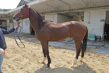 ���򰡼� ����