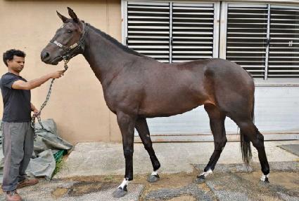 �������Ʈ ����