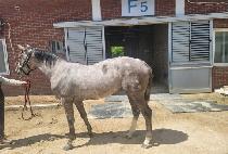 GAMDONG ENERGY picture