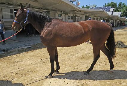 ����Ʈ�� ����