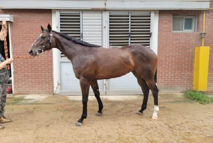 ��ī�������� ����