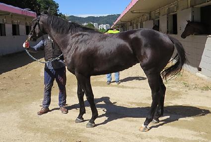 ķ�����̹� ����