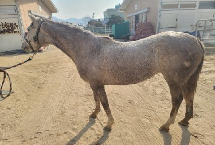 �Ǵ��� ����