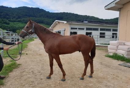 ����õ�� ����