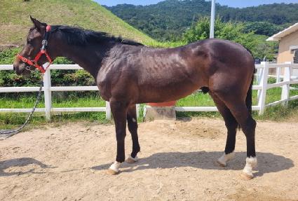 �Ƶ����� ����