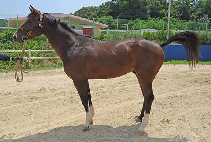 ť�ǵ�Ϳ� ����