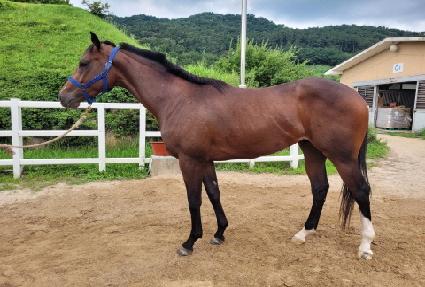 ���ͽ��� ����