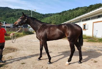 ��̸��� ����