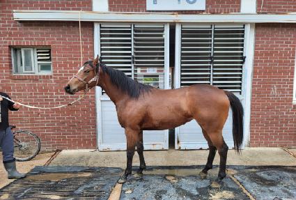 ����Ÿ ����