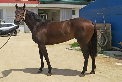 ���۾��� ����