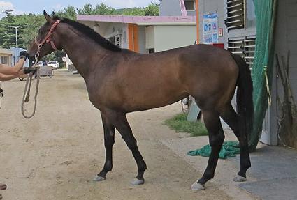 ��Ÿ�������� ����