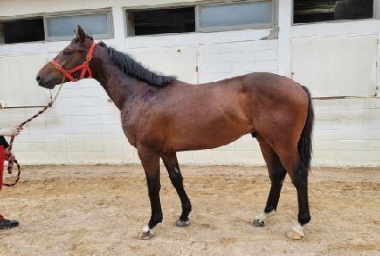 ��Ÿ���̽� ����