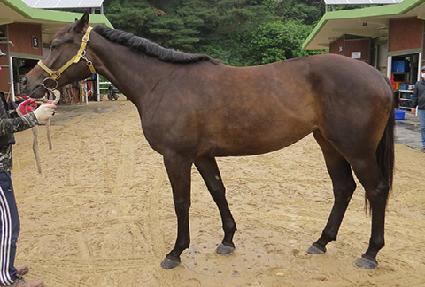 ��Ÿ���� ����