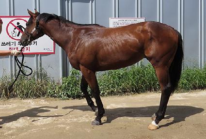 ���� ����