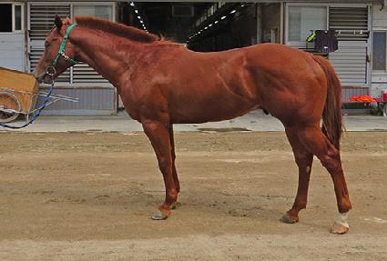 ŷ������ ����