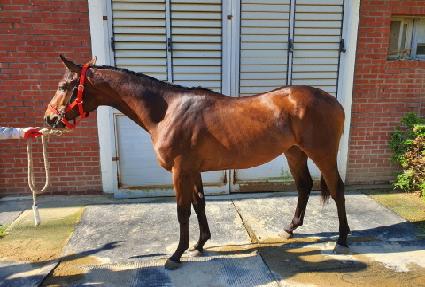 �㳪���� ����