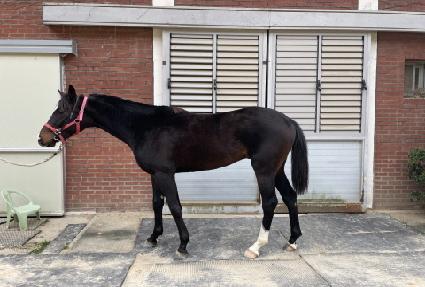 �����Ϸ� ����