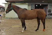 ���� (LUXSEN) ����