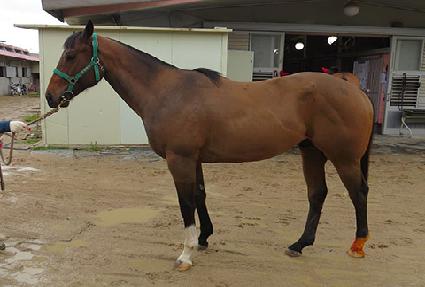 ���� ����