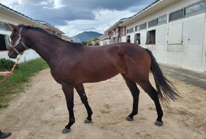 �������� ����