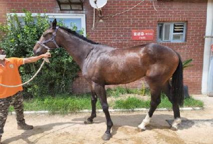 ���̺񷱿��� ����