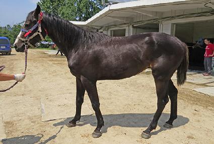 �����ǰ�ȣ ����