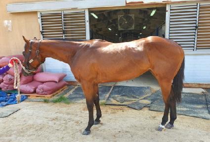 �÷��̴��ε� ����