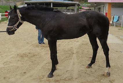 �����Ѽ��� ����