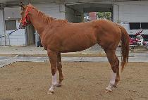 �Ӵ�ž (MONEY TAP) ����