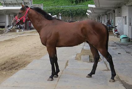 ����ī ����