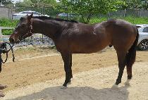 COMPLETE RULER picture