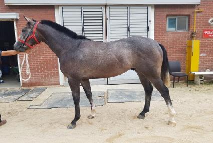 ��������� ����