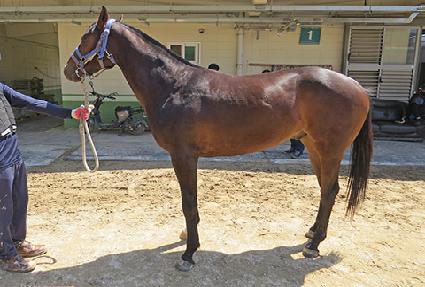 ��´���� ����