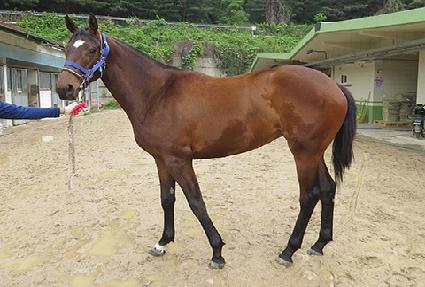 ��´��� ����