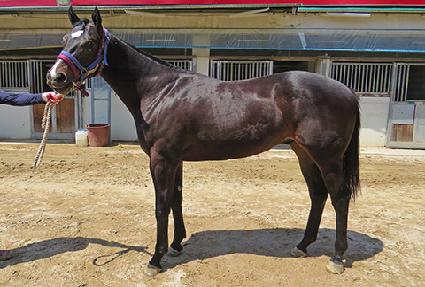 ��´���Ʈ ����