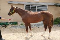 ���������� (JEONSEOLUI JIKJU) ����