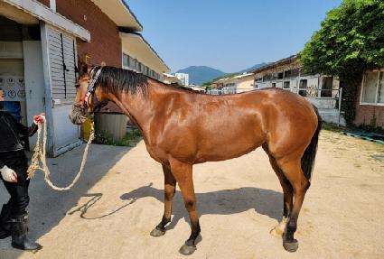 ��Ÿ��ƽ���� ����