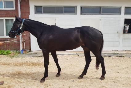 �׷���Ʈĸƾ ����