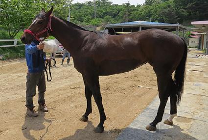 �������� ����