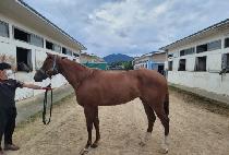 EUNSEONG WINNER picture