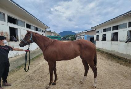 �������� ����