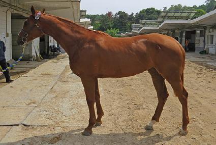 ���������� ����