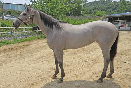 ť�ǵ弼���� ����