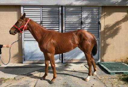 �������� ����